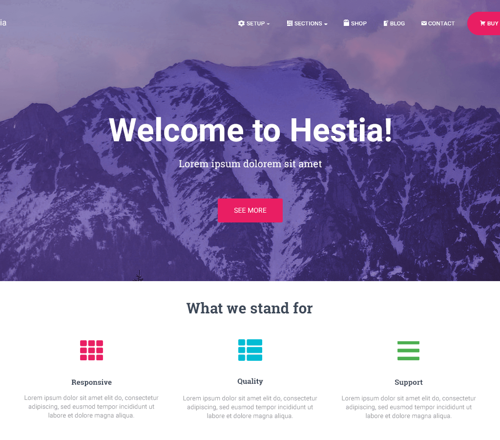 Hestia — официальный демонстрационный скриншот темы WordPress