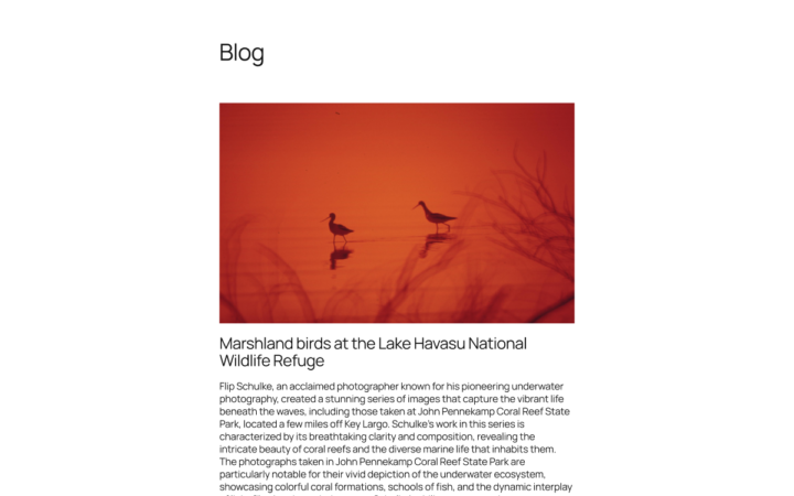Twenty Twenty-Five — блочная тема WordPress